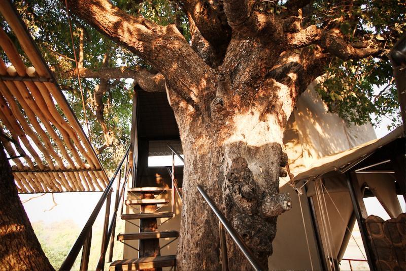 Jackalberry Tented Camp Lionga Exterior foto