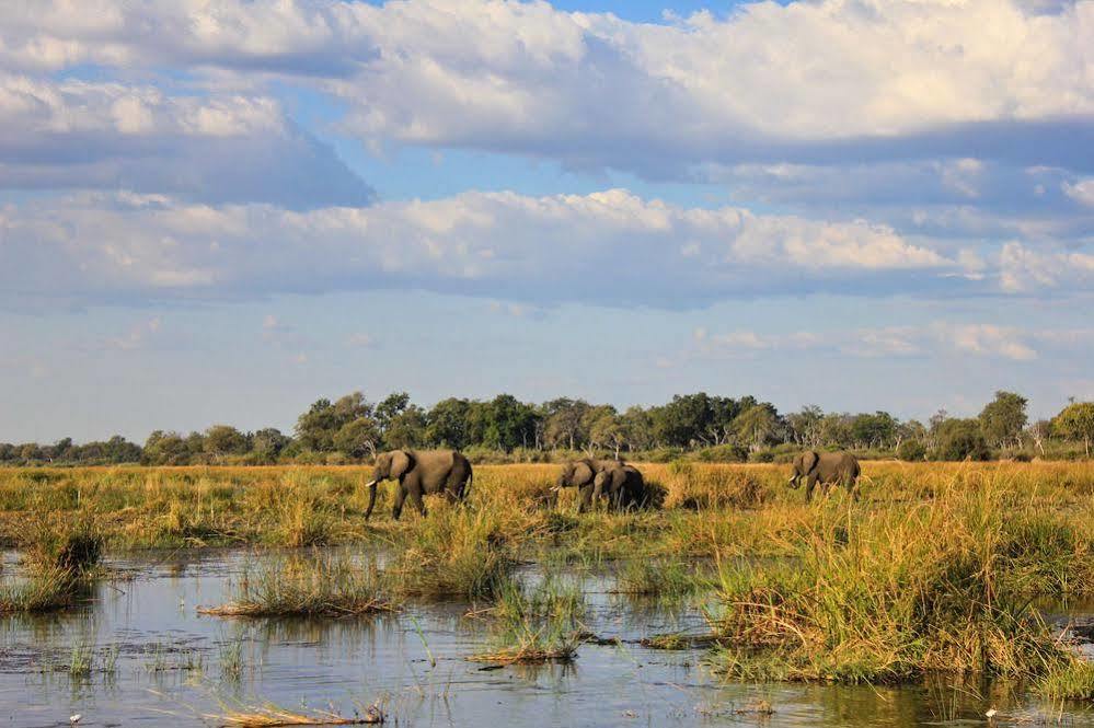 Jackalberry Tented Camp Lionga Exterior foto