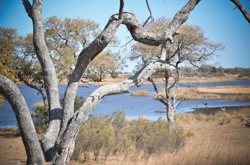 Jackalberry Tented Camp Lionga Exterior foto